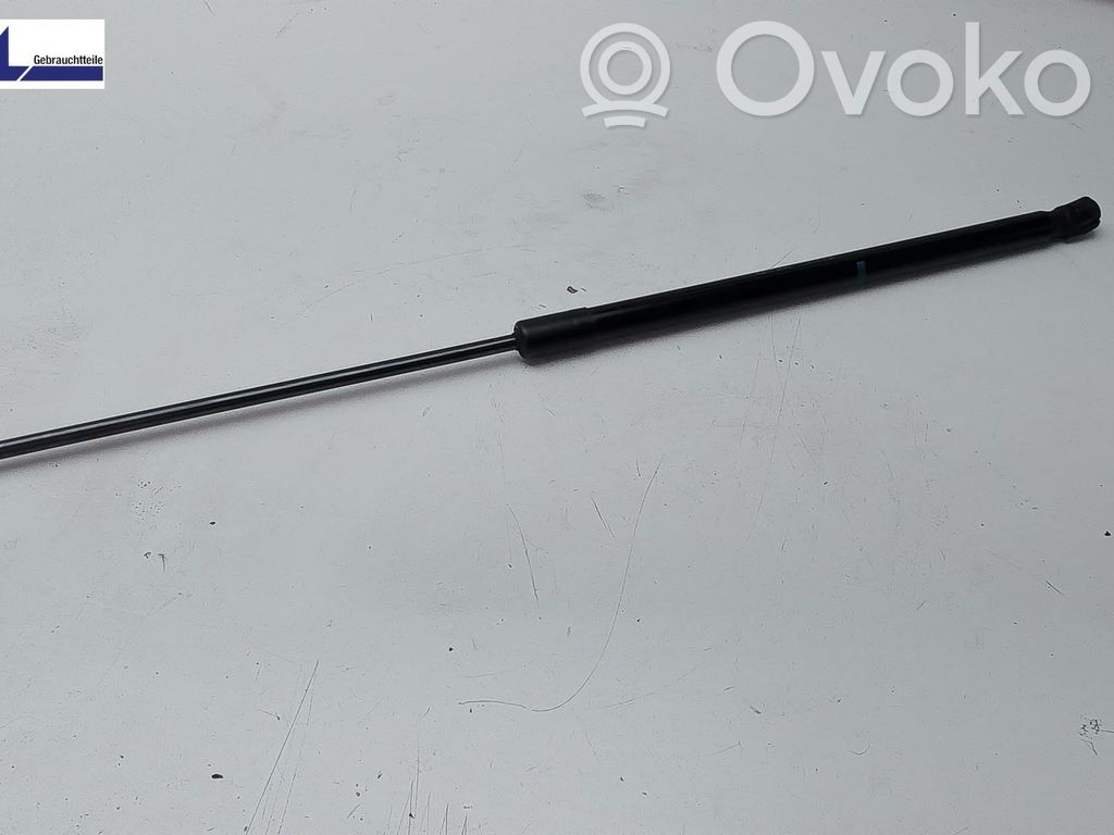 Tailgate/trunk strut/damper