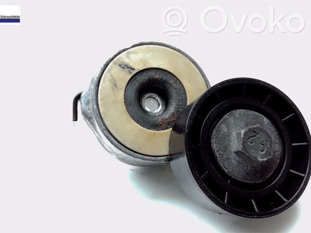 Peugeot Partner Belt tensioner pulley 