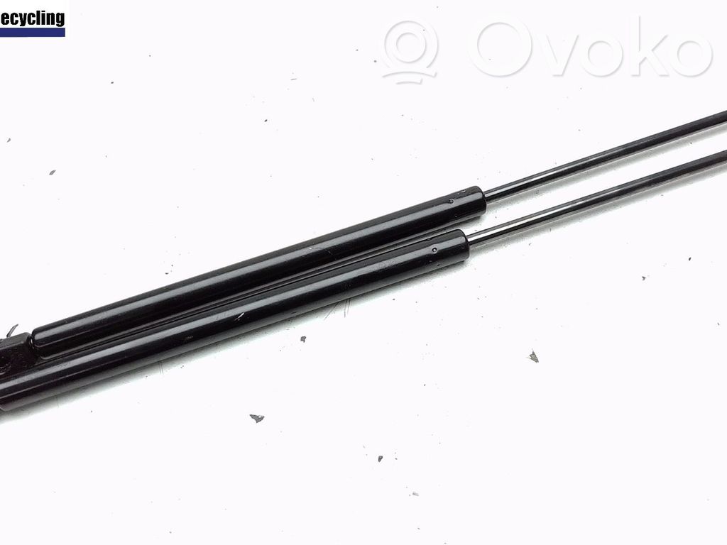 Ford Focus Tailgate/trunk strut/damper 