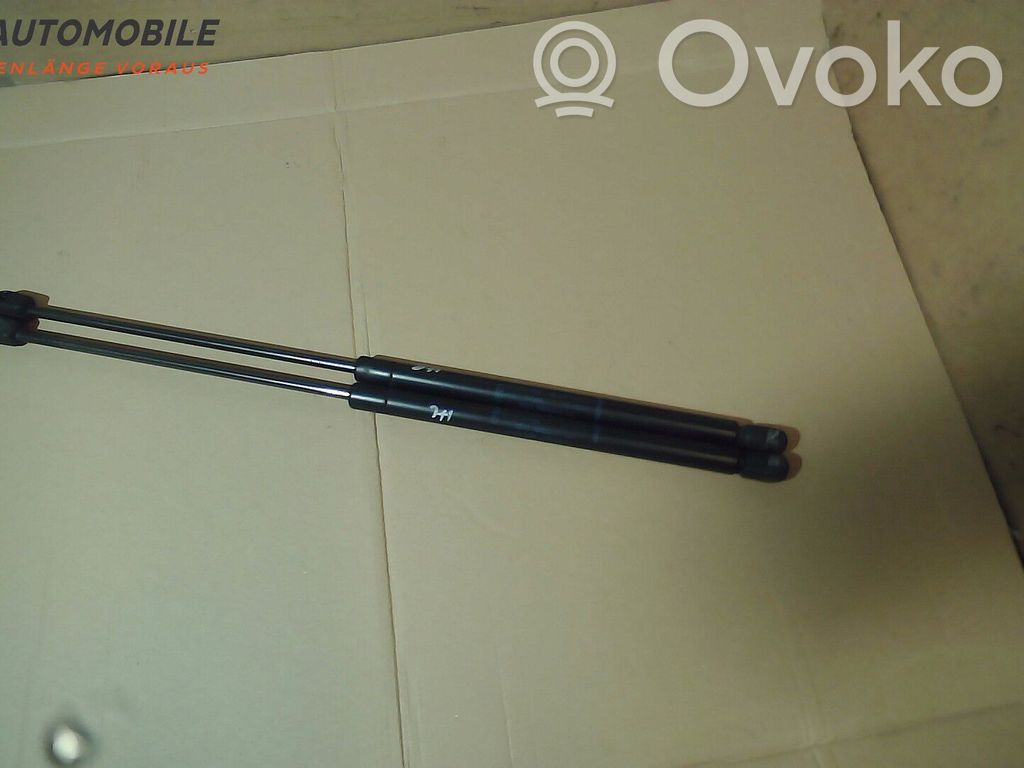 Ford Focus Tailgate/trunk strut/damper 