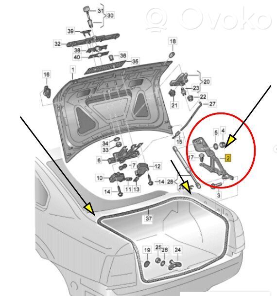 Volkswagen PASSAT B5 Zawias klapy tylnej bagażnika 