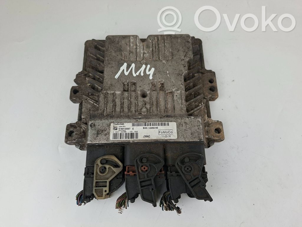 Ford Focus Engine control unit/module 