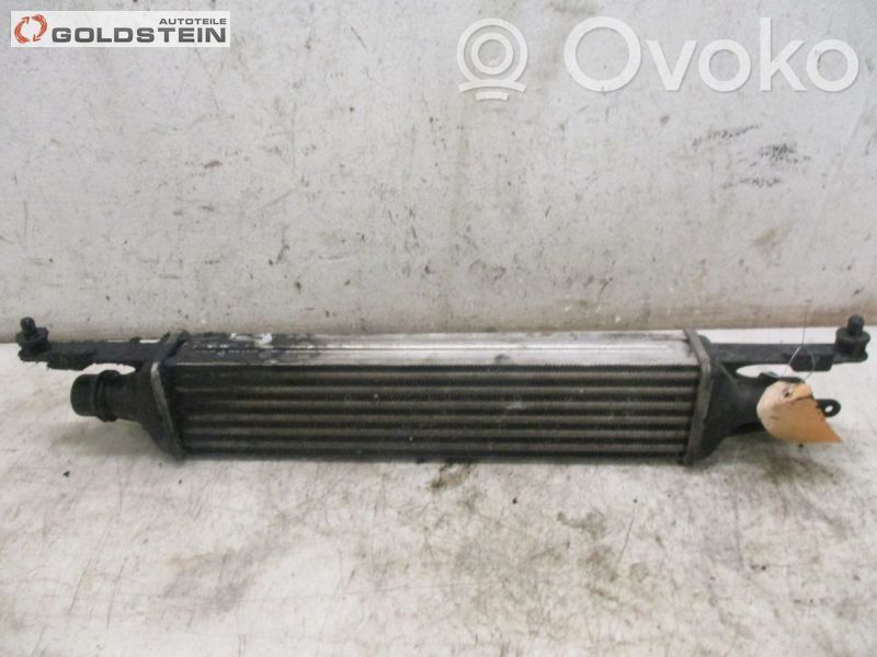 Intercooler radiator
