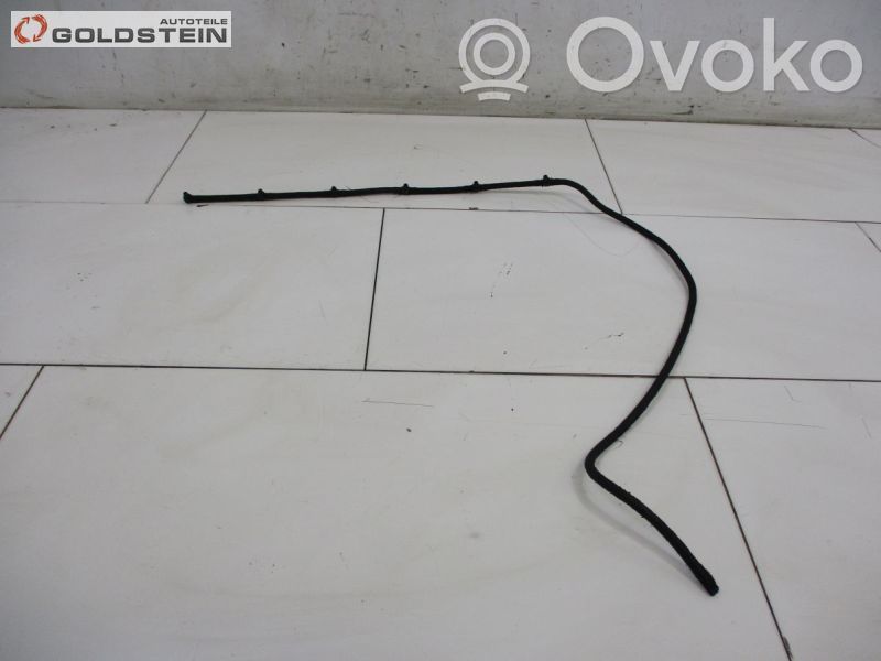 BMW X3 E83 Degvielas caurulīte (-es) 