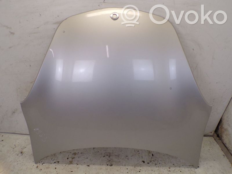 Engine bonnet/hood