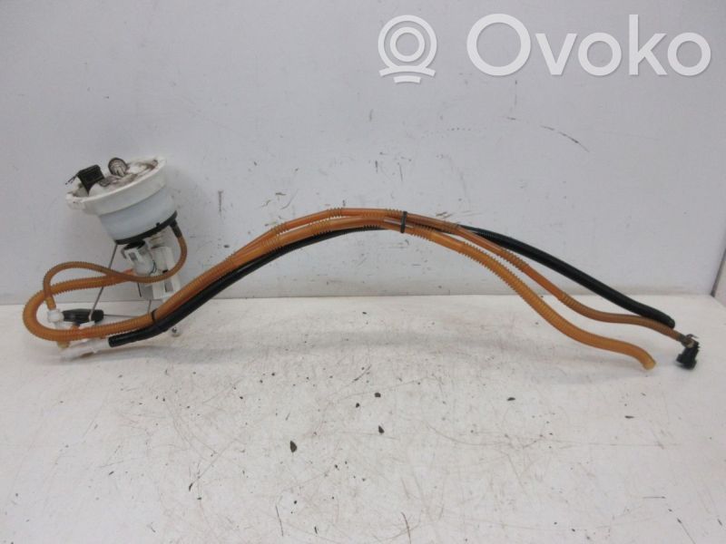In-tank fuel pump   7163296,7163296