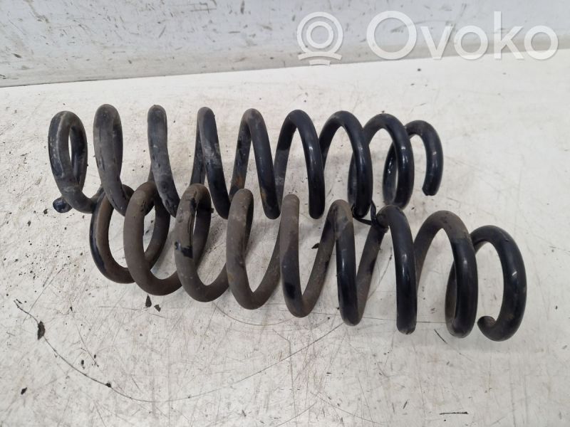 Rear coil spring