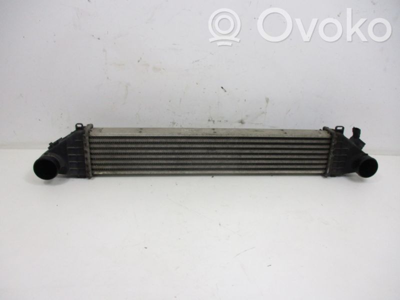 Intercooler radiator   H3122000,H3122000