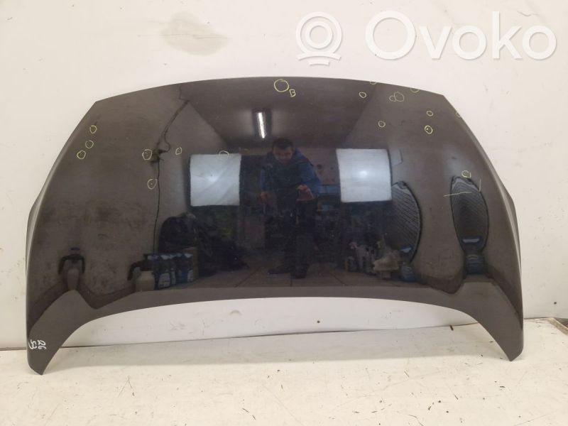 Engine bonnet/hood