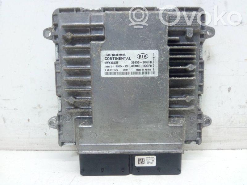 Sterownik / Moduł ECU   391302GGF0,391002GGF0,391002GGF0,391302GGF0,5WY3540B
