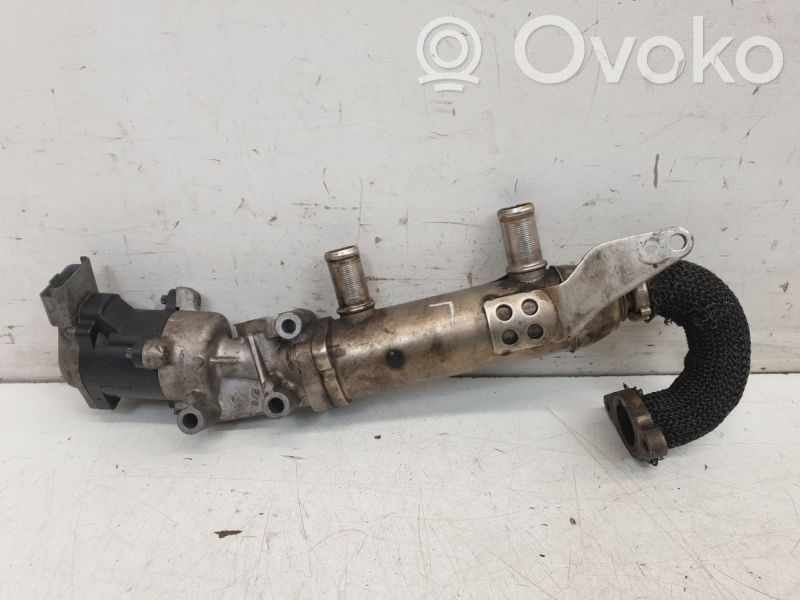 Peugeot 407 Răcitor supapă EGR 