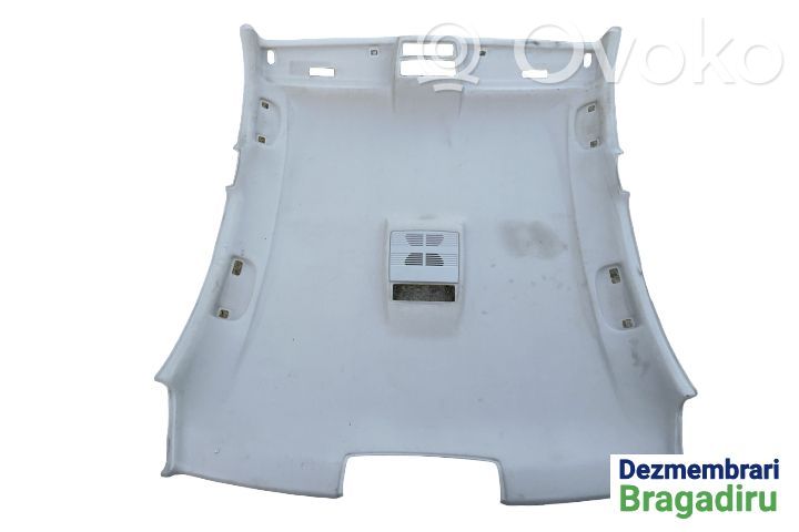 Roof   7066569