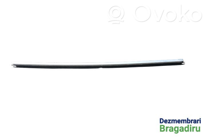 BMW 5 E39 Listwa / Uszczelka szyby drzwi przednich 