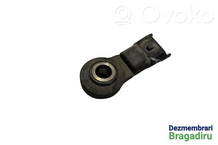 Detonacinis daviklis   MN163706