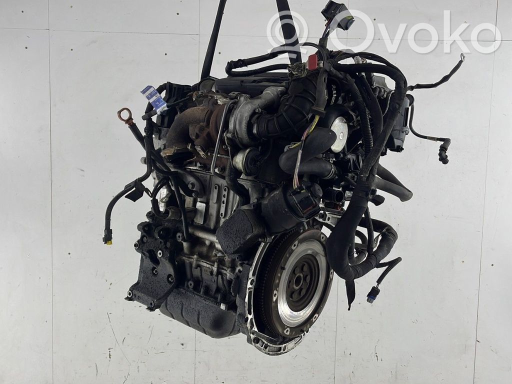 Variklis   0135FZ