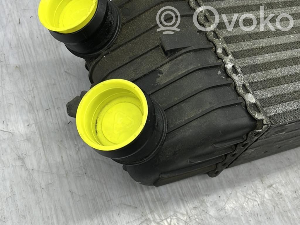 Radiador intercooler   00000384G0