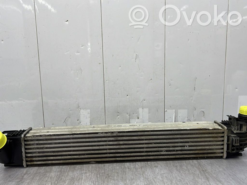 Intercooler radiator   8200880552