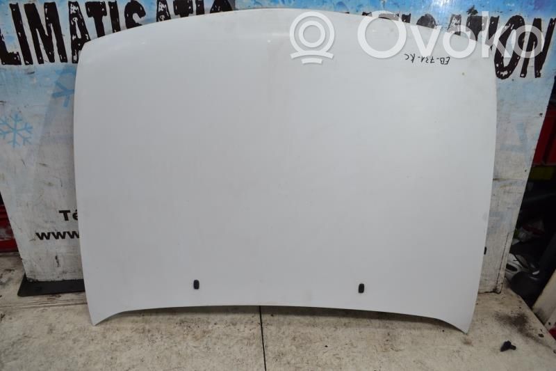 Ford Fiesta Engine bonnet/hood 
