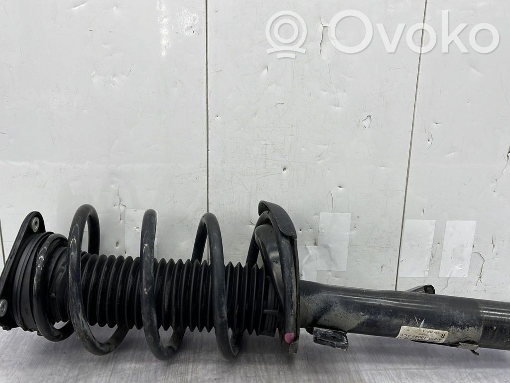 Ford Focus Ansamblu amortizor cu arc față 