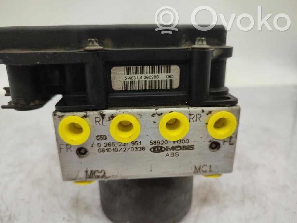 Pompă ABS   589201H6B0