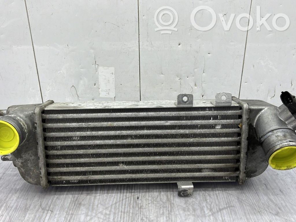 Interkūlerio radiatorius   282702A611