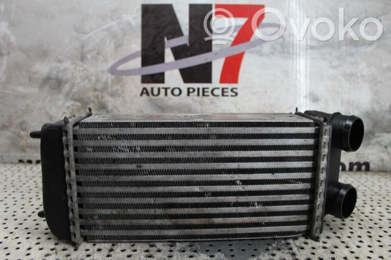 Peugeot 206 Intercooler radiator 