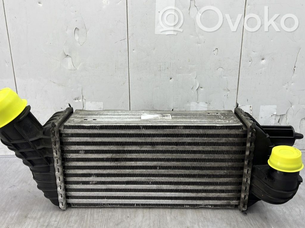 Interkūlerio radiatorius   0384P8