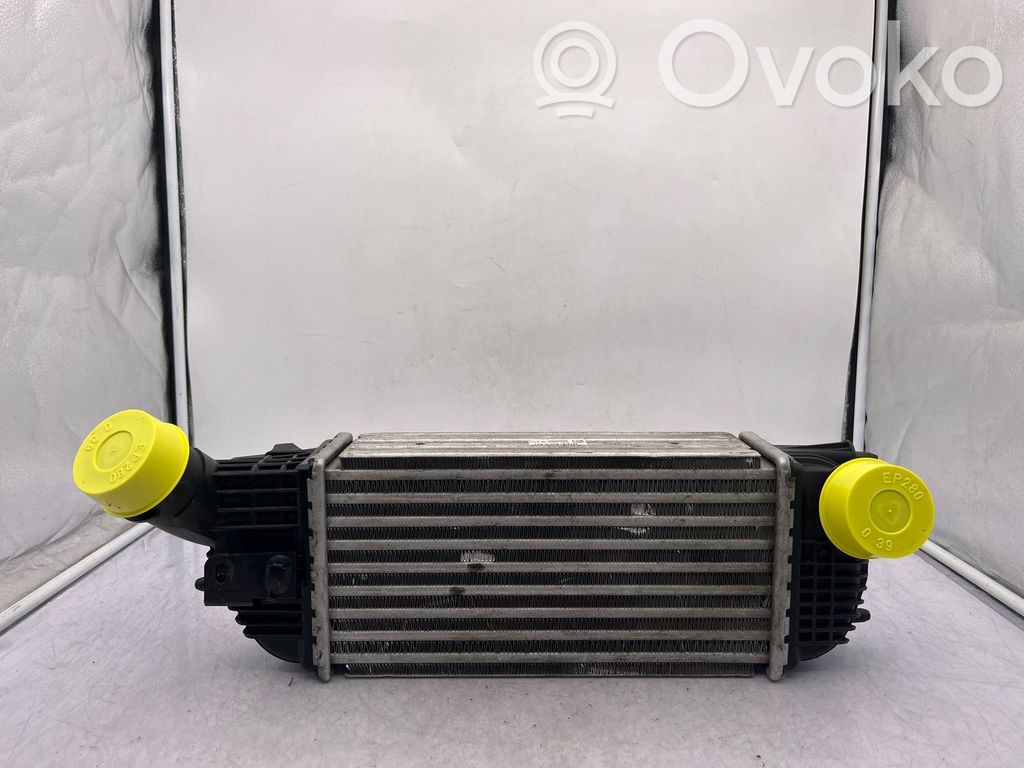 Intercooler radiator   384N4