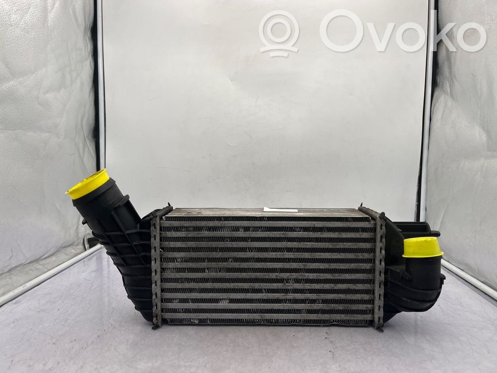Peugeot 5008 Intercooler radiator 