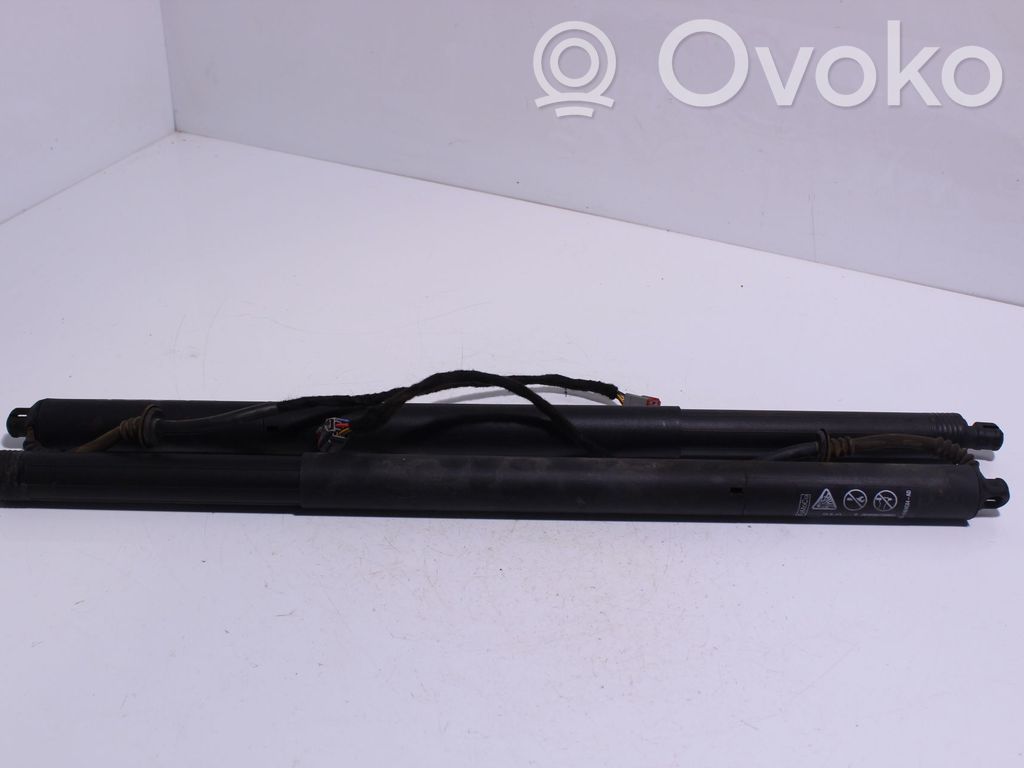 Ford Focus Tailgate/trunk strut/damper 