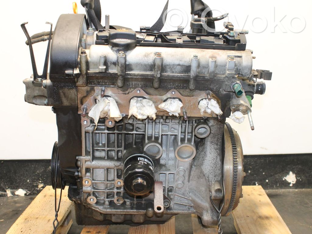 Volkswagen Golf IV Motor 