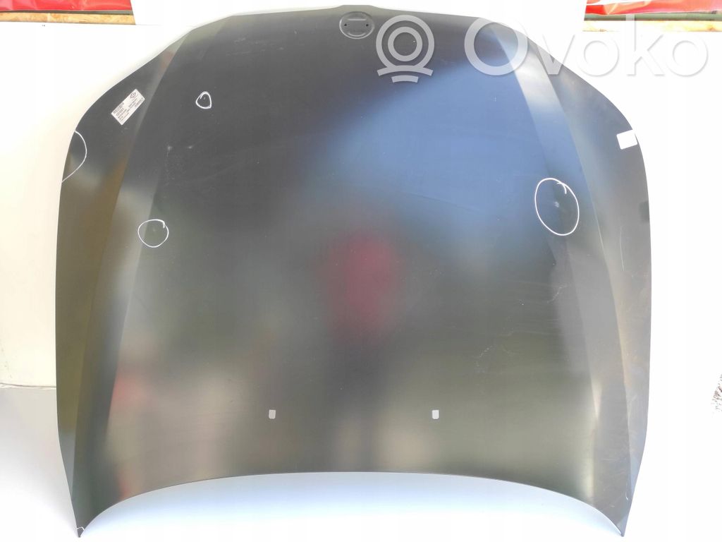 Engine bonnet/hood   1224001