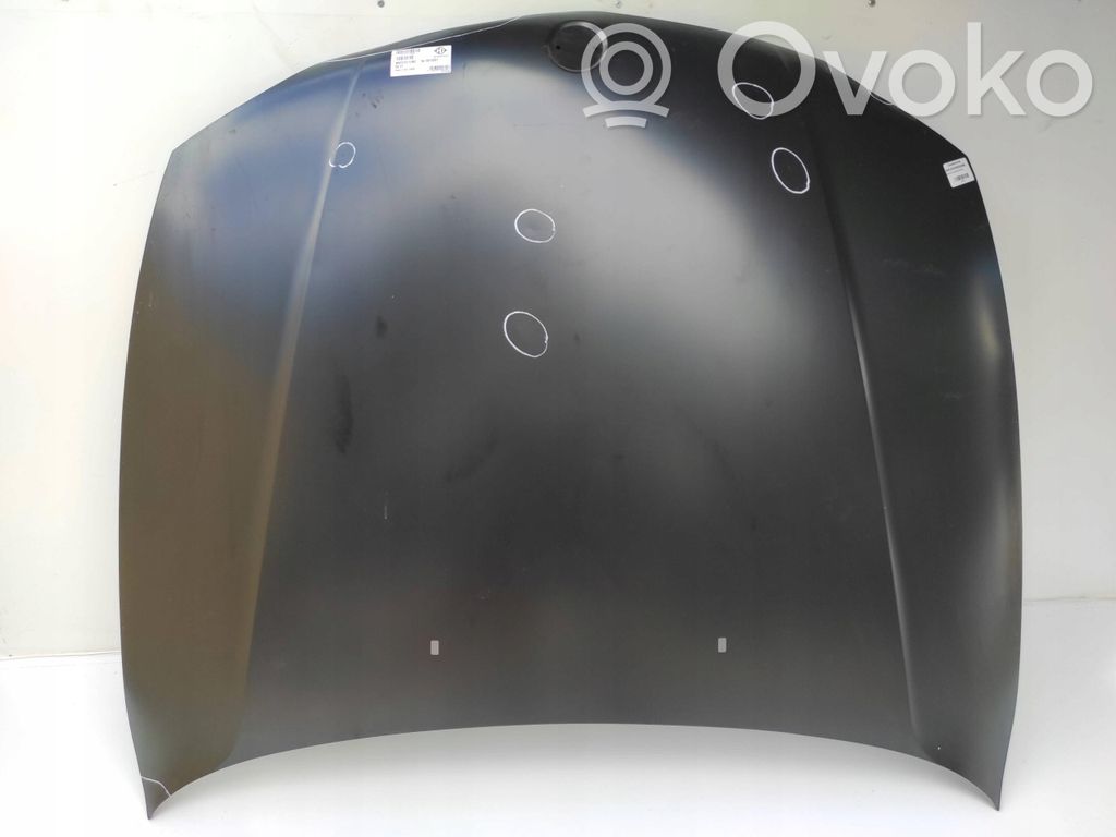 BMW 1 E81 E87 Engine bonnet/hood 