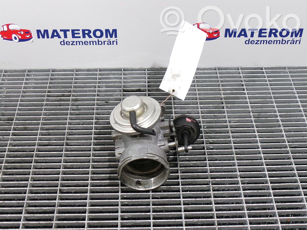 Supapă EGR   1461304