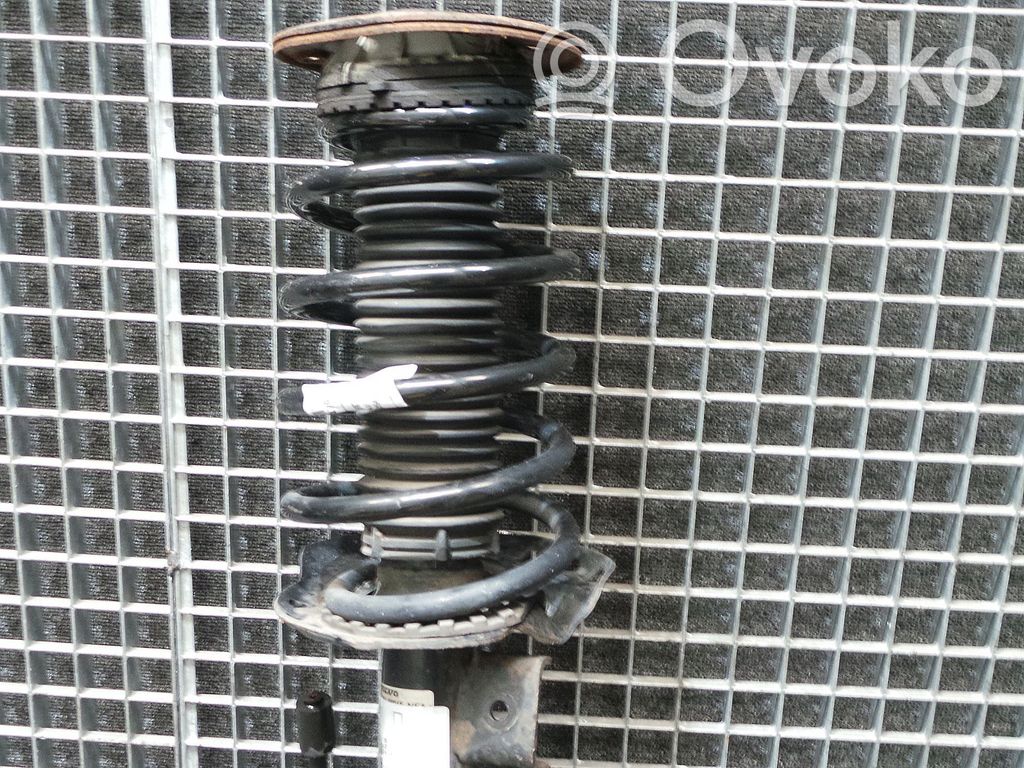 Front coil spring   30748220