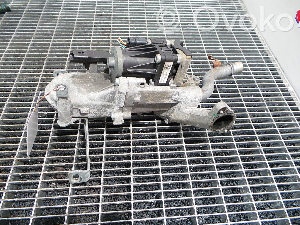 Cárter   9800125180