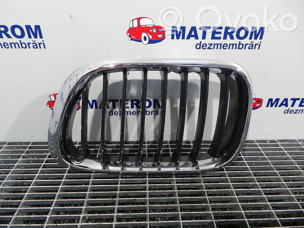 BMW X5 E53 Grilă radiator față 
