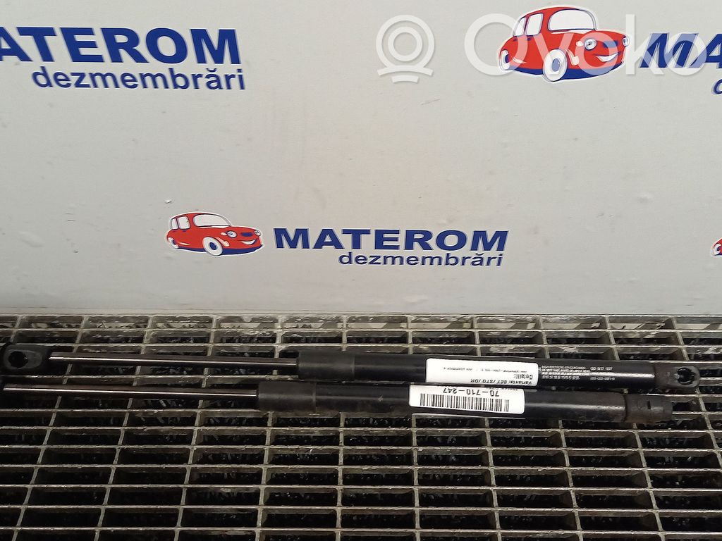Opel Antara Ammortizzatore portellone anteriore/cofano