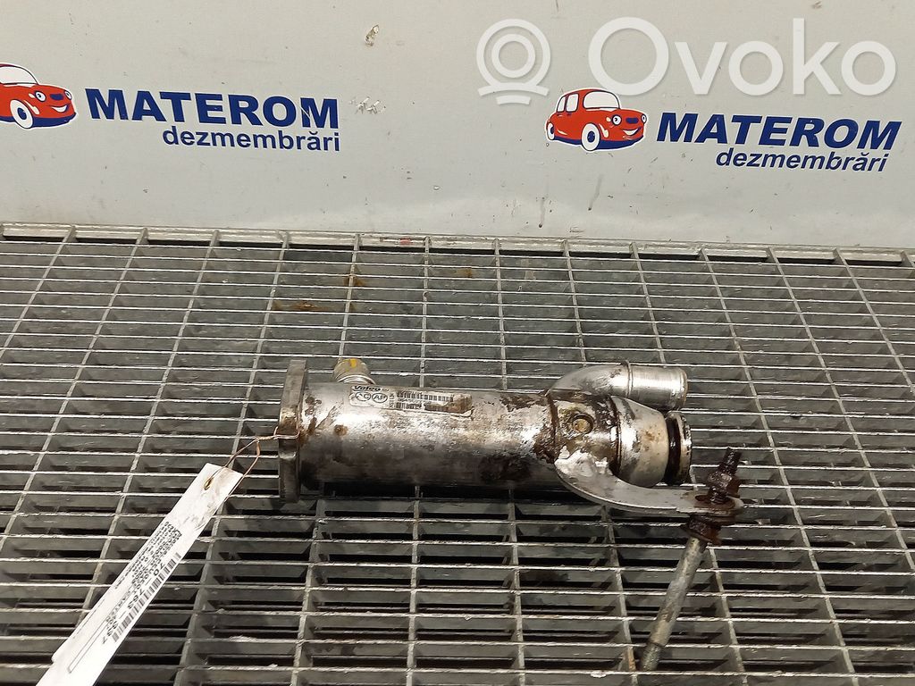 Separator ulei   9645689780