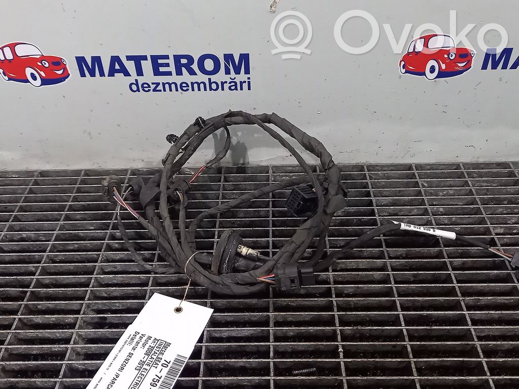 Seat Exeo (3R) Cableado de instalación del motor 
