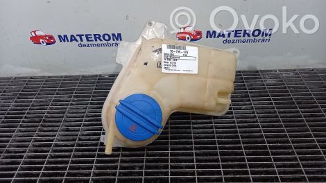 Seat Exeo (3R) Zbiornik wyrównawczy chłodziwa 