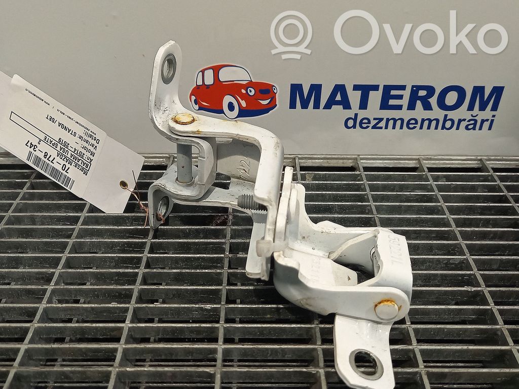 Tailgate/trunk/boot hinge   DB2M73210