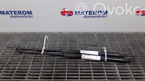 Toyota Auris E180 Amortizor hayon