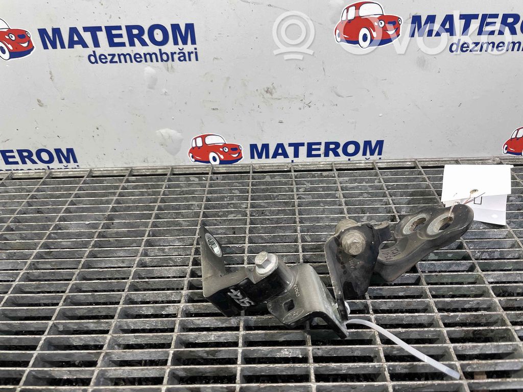 Ford Focus Engine bonnet/hood hinges 