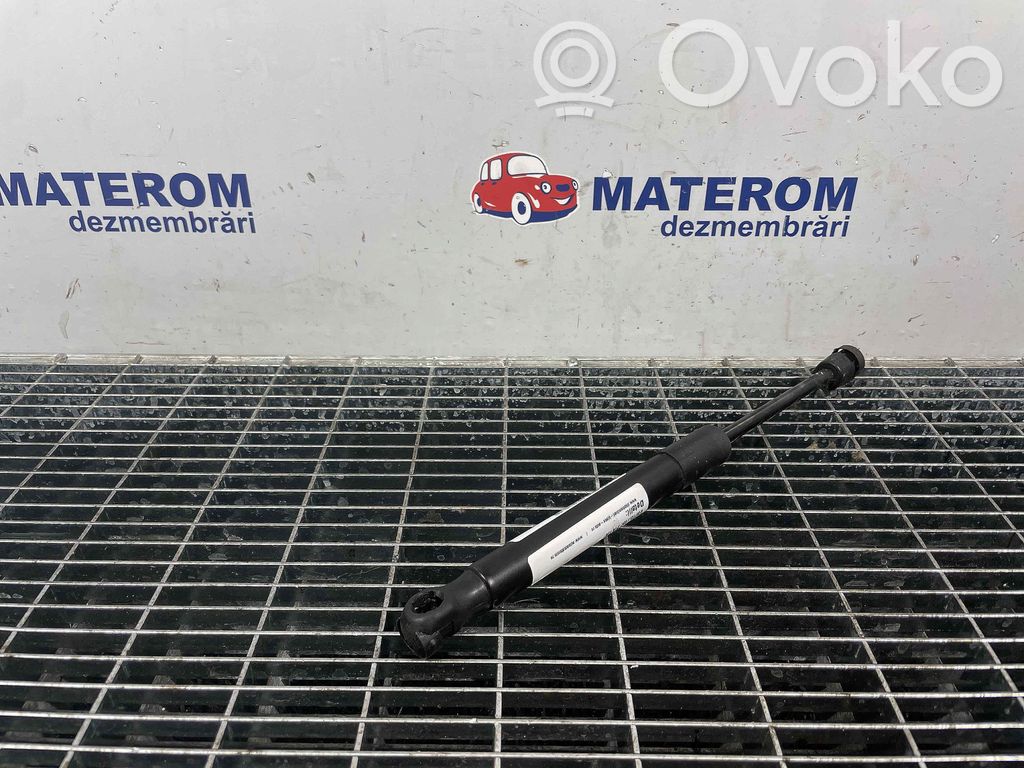BMW X3 F25 Ammortizzatore portellone anteriore/cofano
