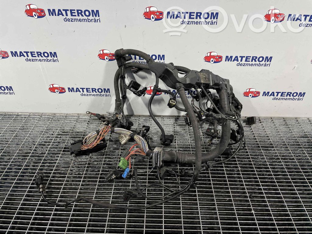 Engine installation wiring loom   12518511683