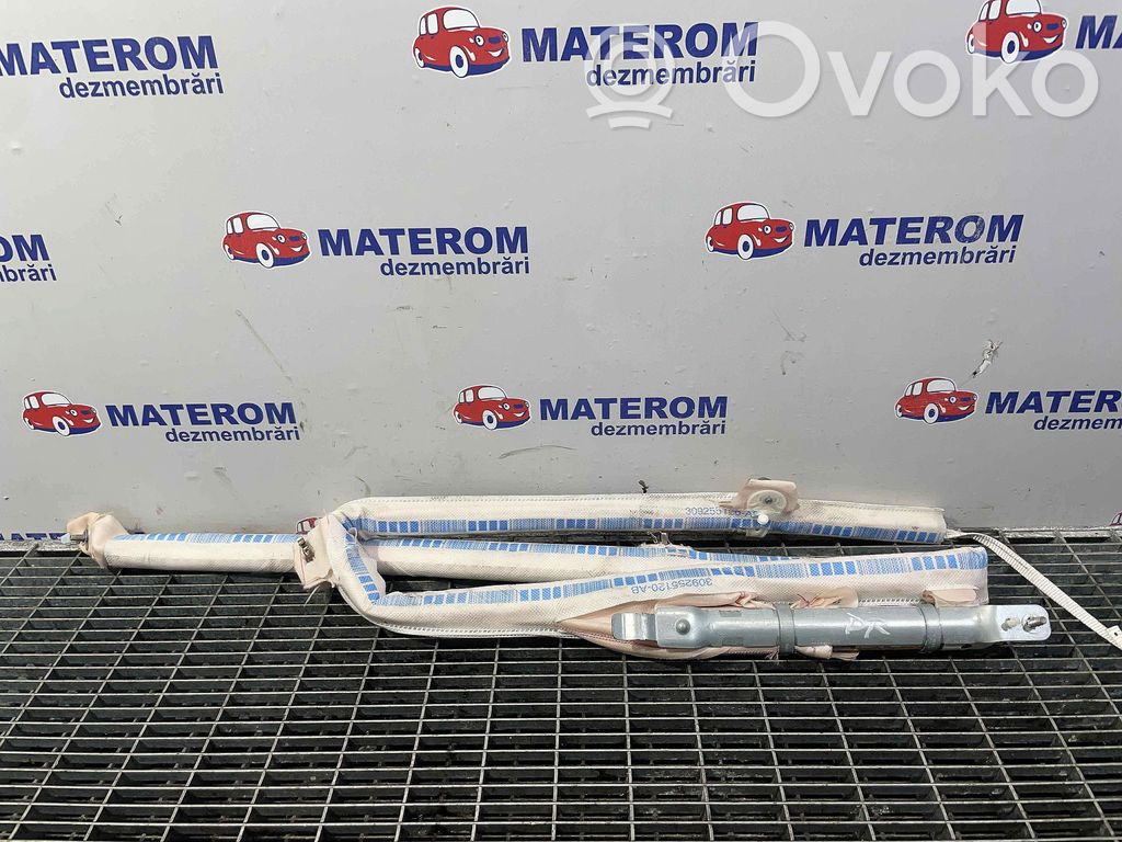 Airbag del techo   39058588