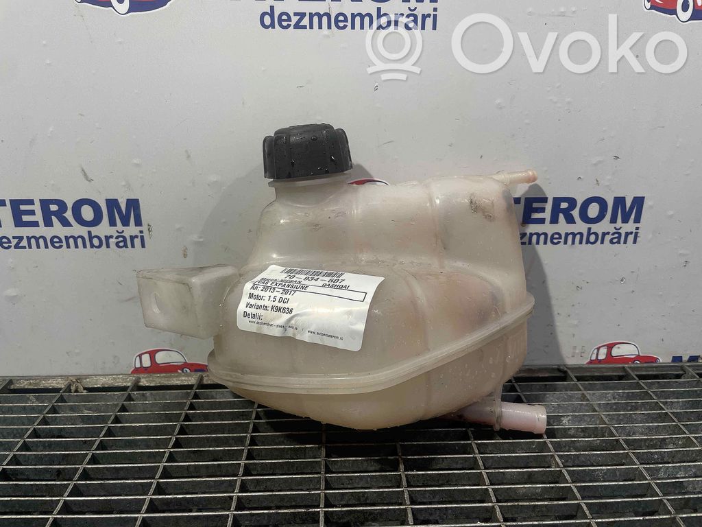 Nissan Qashqai Serbatoio di compensazione del liquido refrigerante/vaschetta 