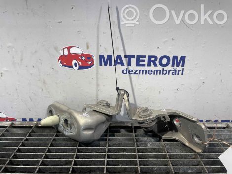 Ford B-MAX Priekšpusē eņģu komplekts