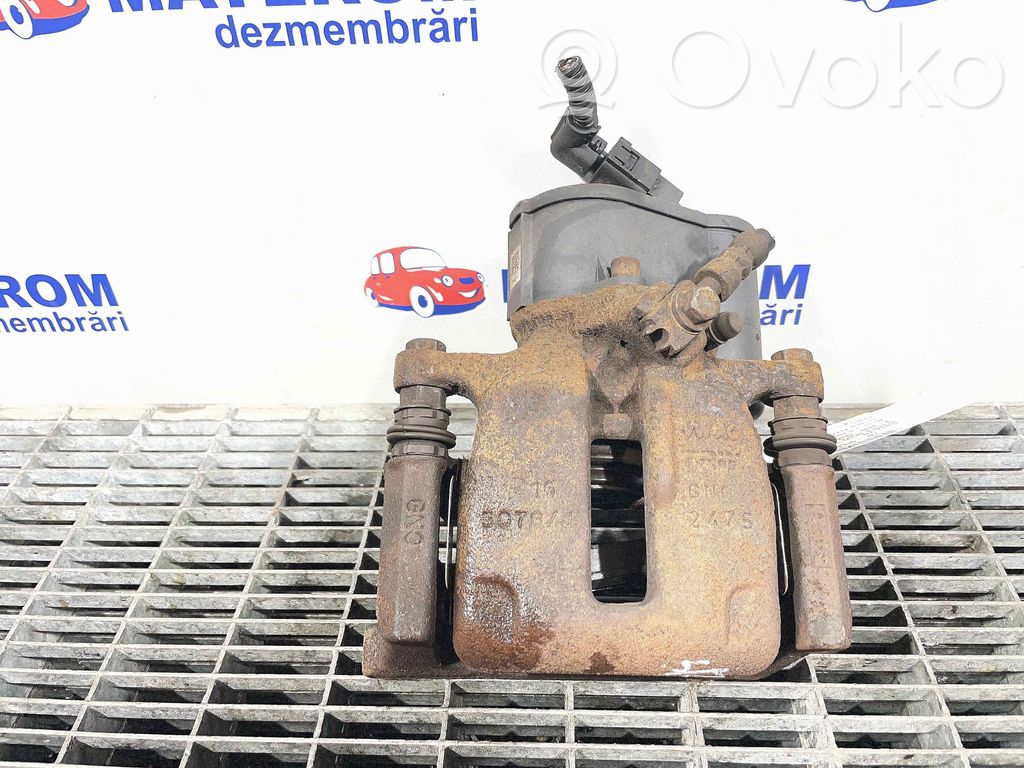 Takajarrusatula   5N0615403